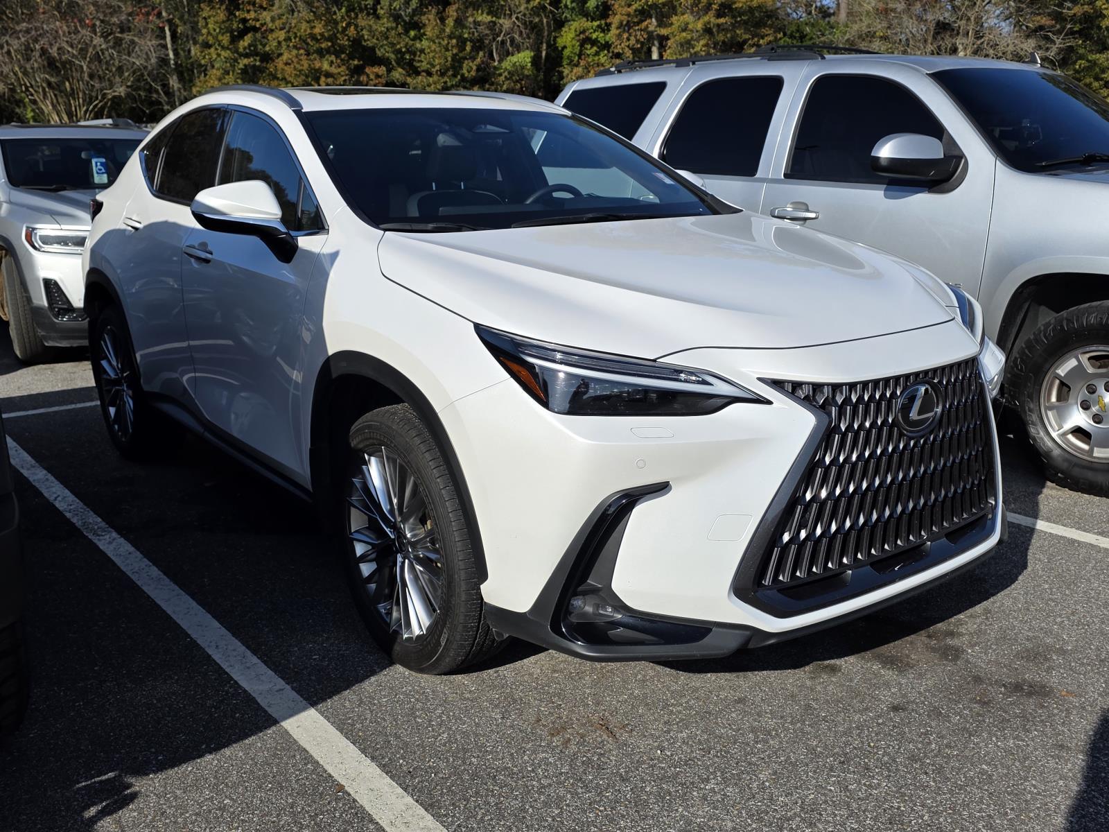 2023 Lexus NX Hybrid 350h's photo