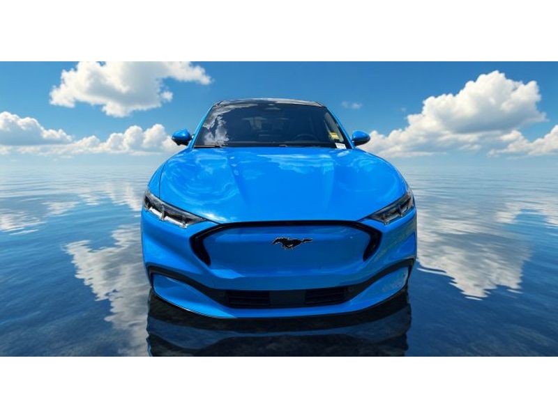 Used 2021 Ford Mustang Mach-E Premium AWD First Edition with VIN 3FMTK3SU8MMA07995 for sale in Elizabethtown, KY