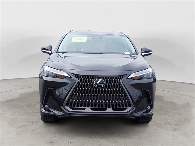 2024 Lexus NX 350h Premium photo 8