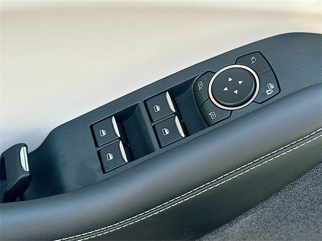2021 Ford Mustang Mach-E Premium photo 17