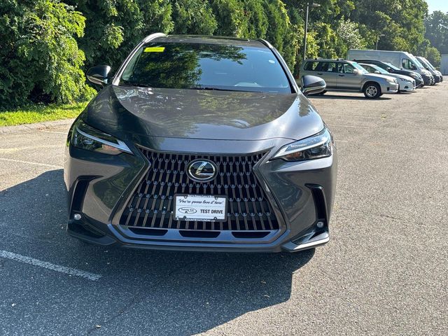 2022 Lexus NX 350h Luxury photo 2