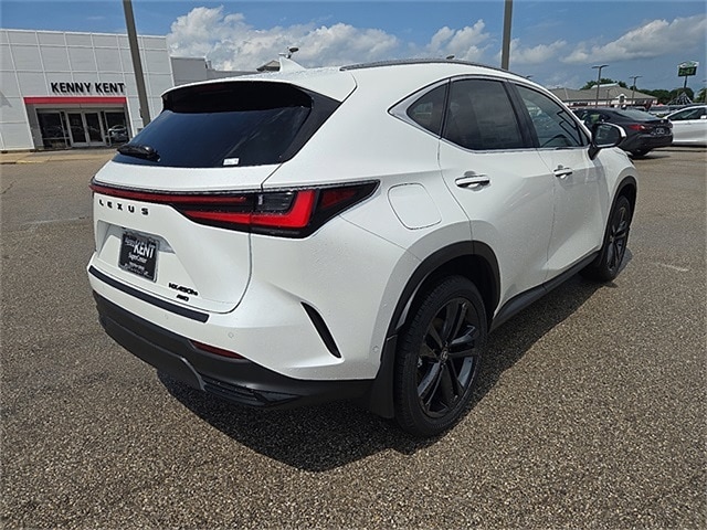 2025 Lexus NX Luxury AWD photo 3