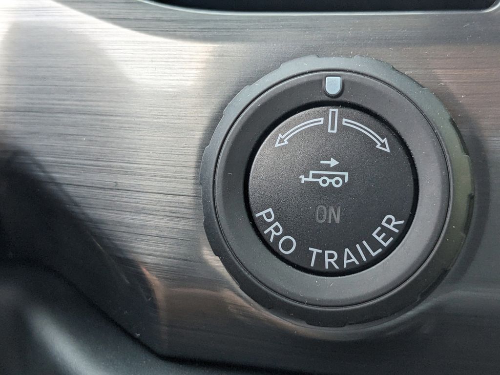 2025 Ford F-150 Lightning Platinum photo 28