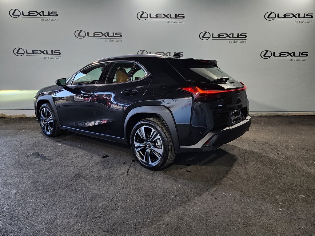2025 Lexus UX photo 7