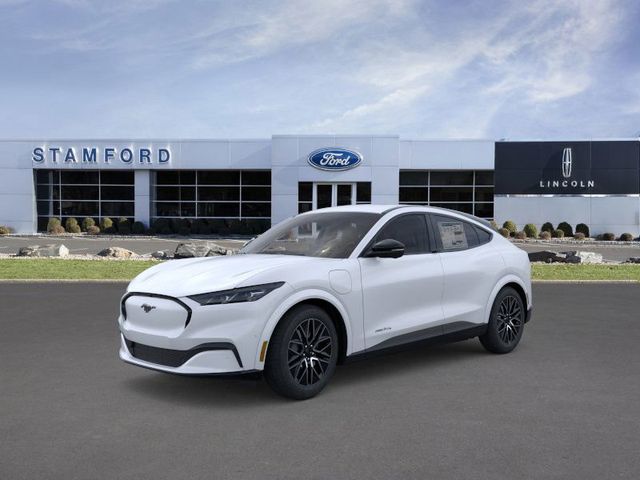 2025 Ford Mustang Mach-E Premium AWD's photo