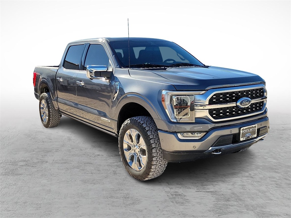 2023 Ford F-150 Platinum's photo