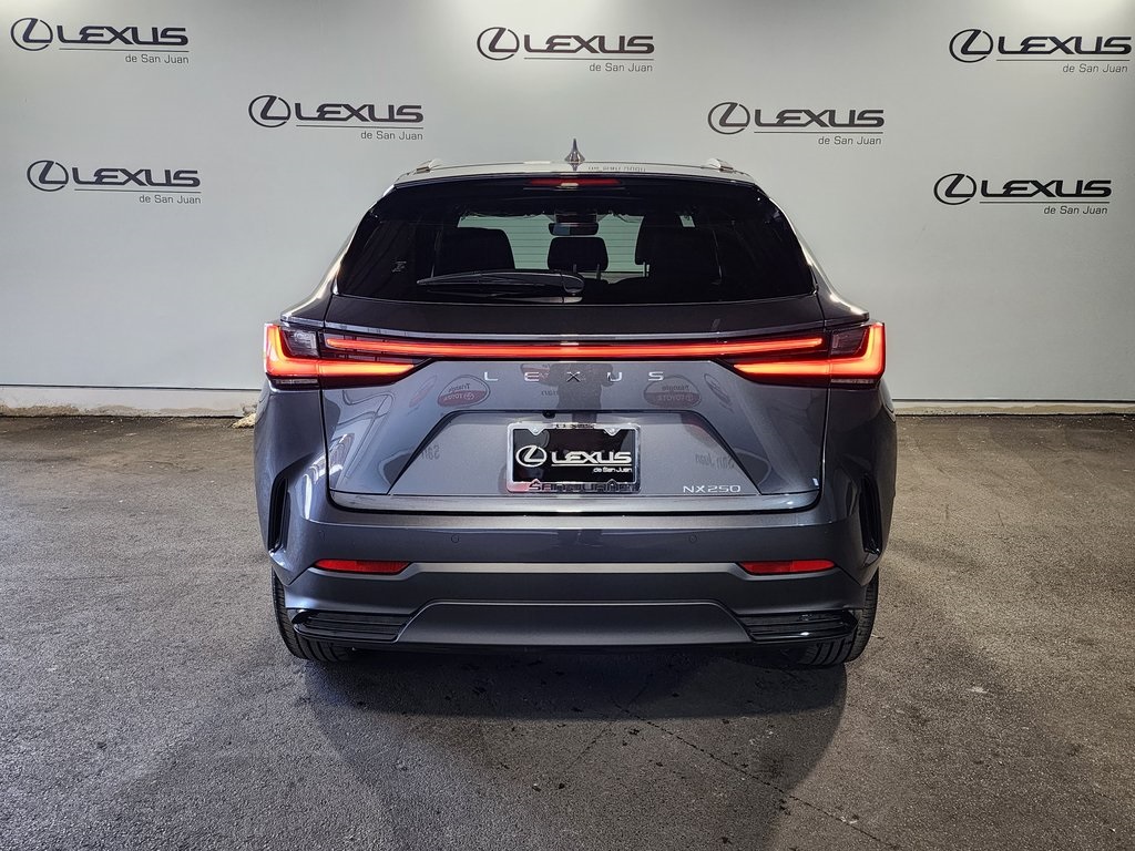 2025 Lexus NX 250 photo 7