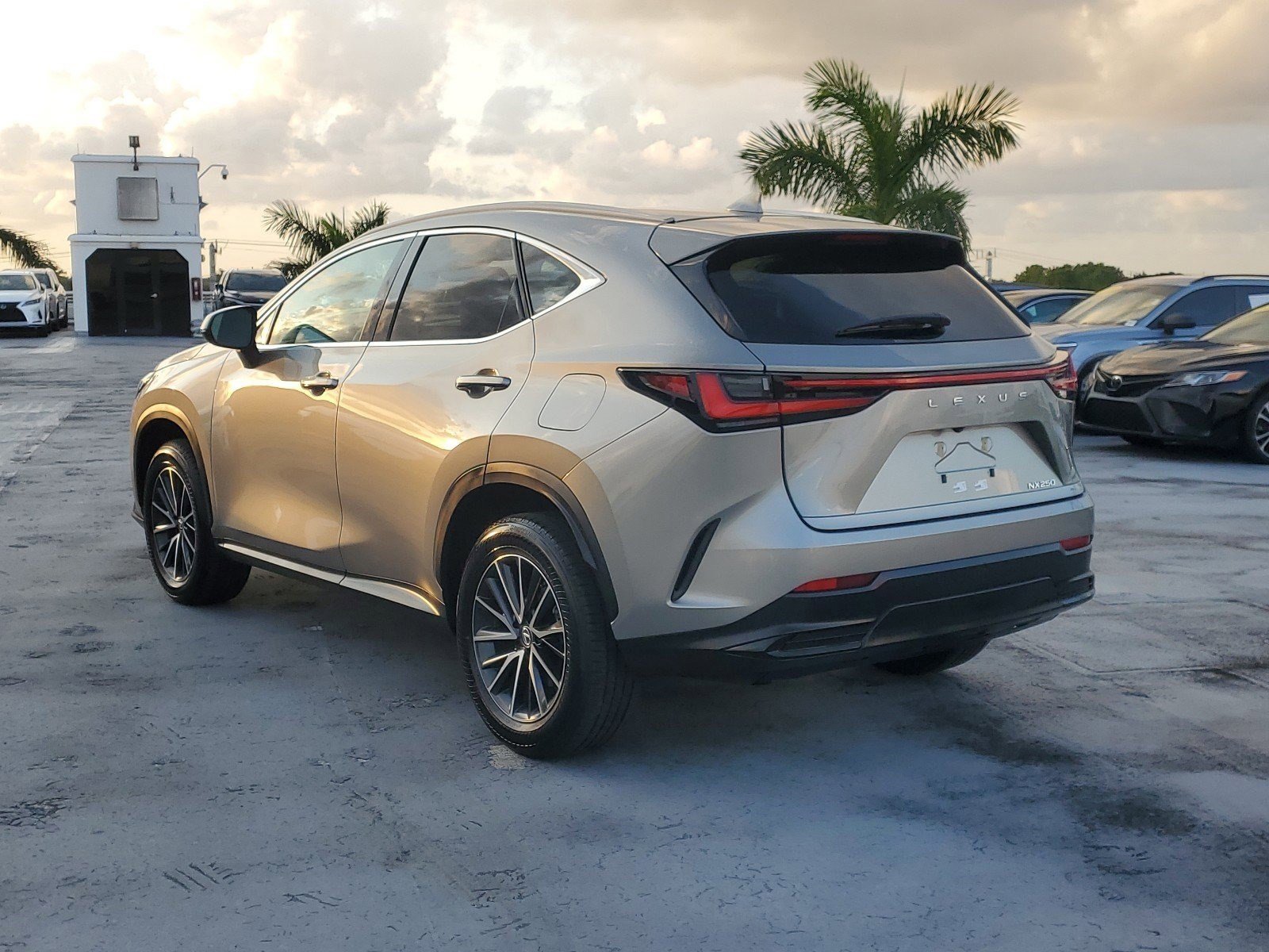 2024 Lexus NX 250 photo 6