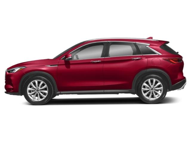 2022 Infiniti QX50 Autograph photo 3