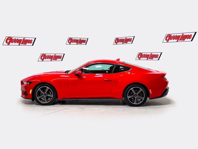 2024 Ford Mustang EcoBoost photo 4
