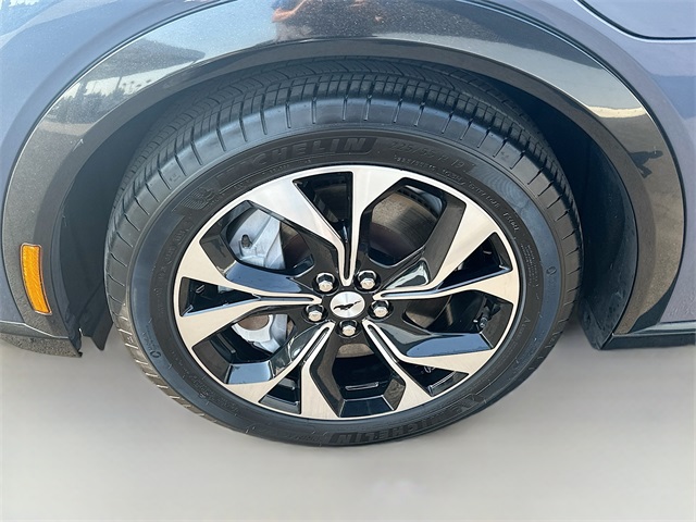 2021 Ford Mustang Mach-E Premium photo 27