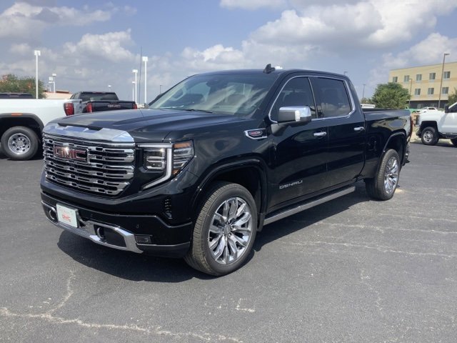 2025 Gmc Sierra 1500 Denali photo 3