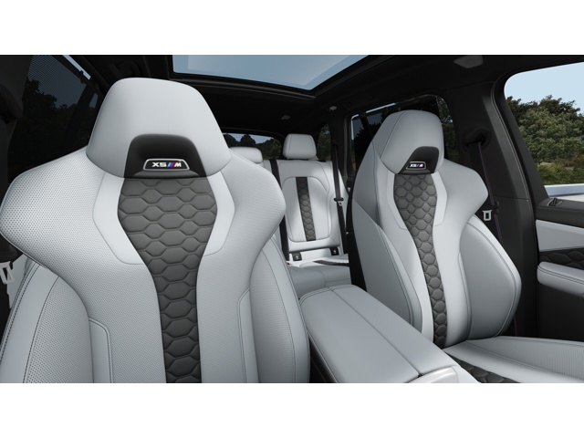 2026 Bmw X5 photo 9
