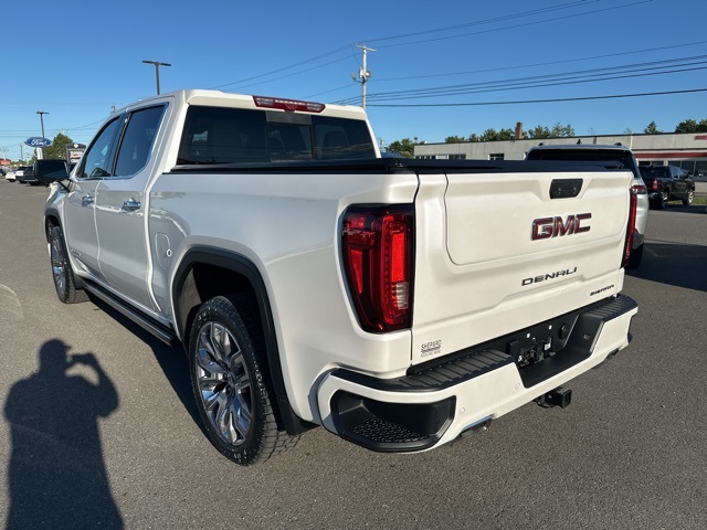 2023 Gmc Sierra 1500 Denali photo 4