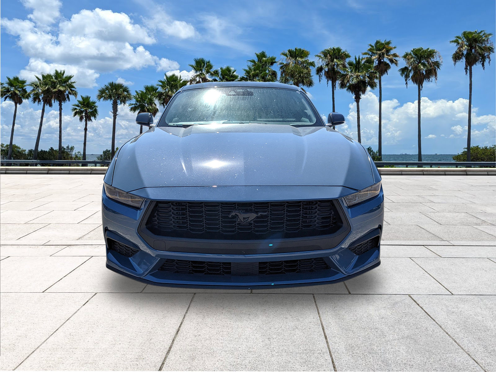 2025 Ford Mustang EcoBoost Premium photo 3