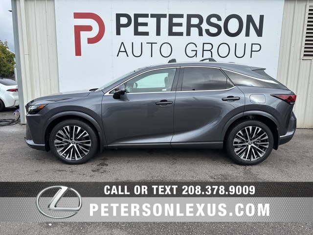 2024 Lexus RX 350h Premium photo 6