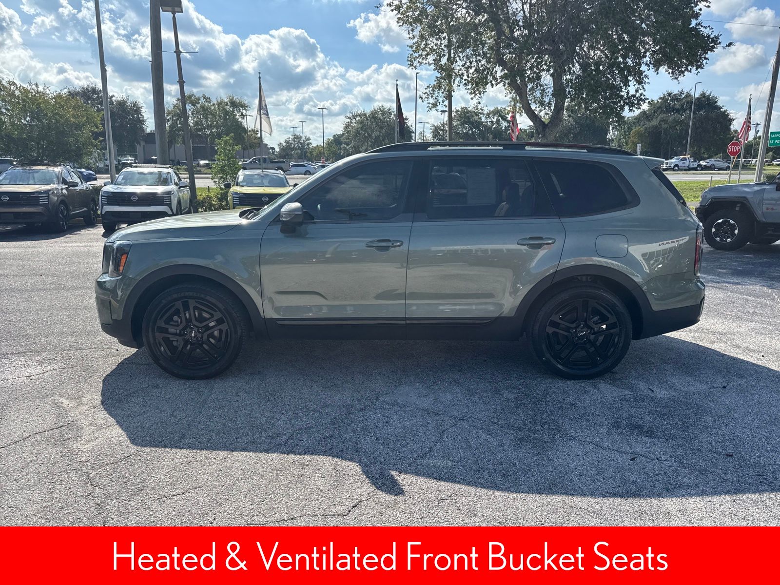 2024 Kia Telluride EX X-Line photo 8