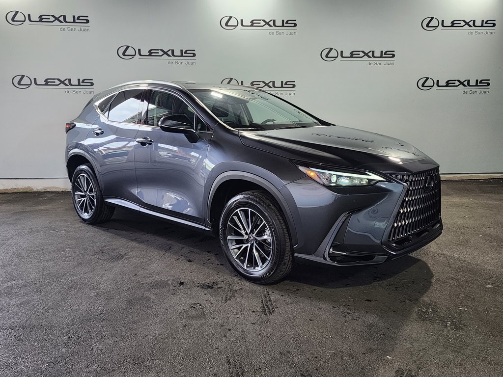 2025 Lexus NX 350 photo 3