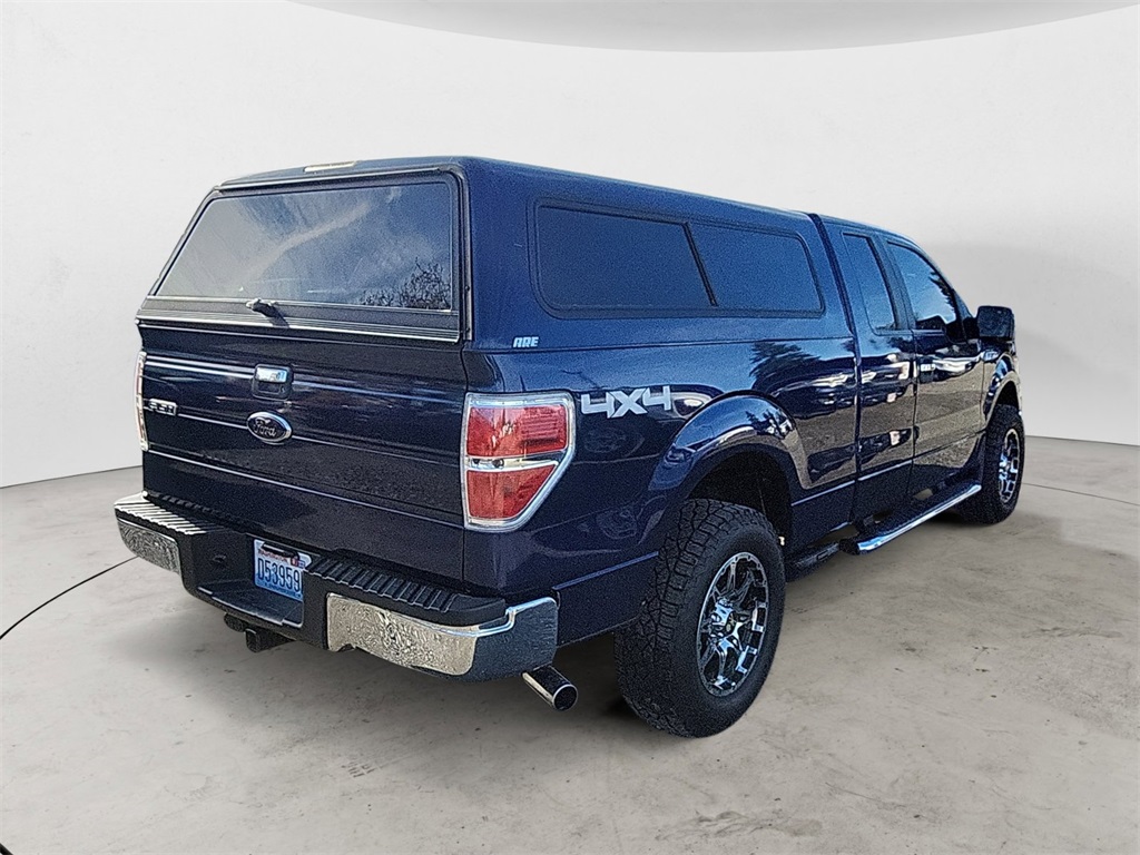 2010 Ford F-150 photo 4