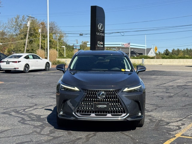2023 Lexus NX 350 Luxury photo 8