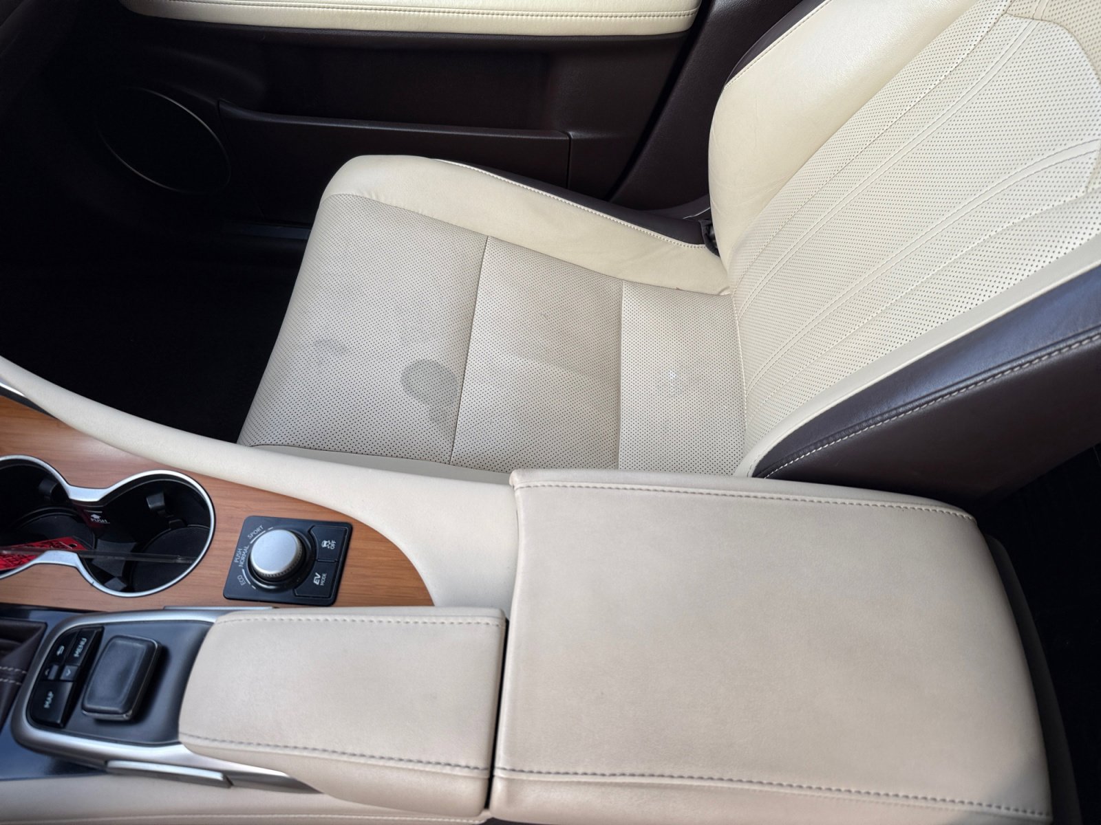 2016 Lexus RX 450h photo 14