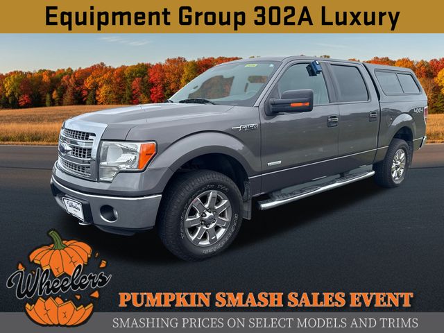 2014 Ford F-150