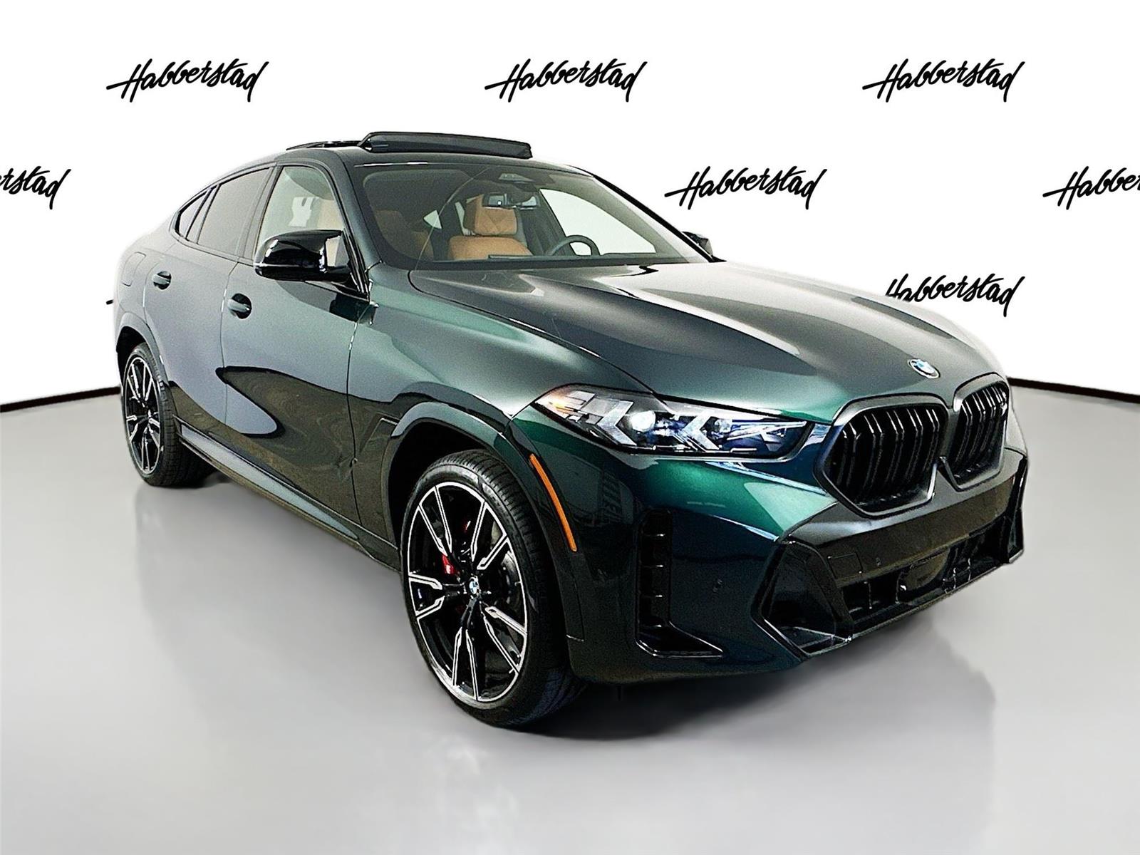 2026 Bmw X6 photo 3