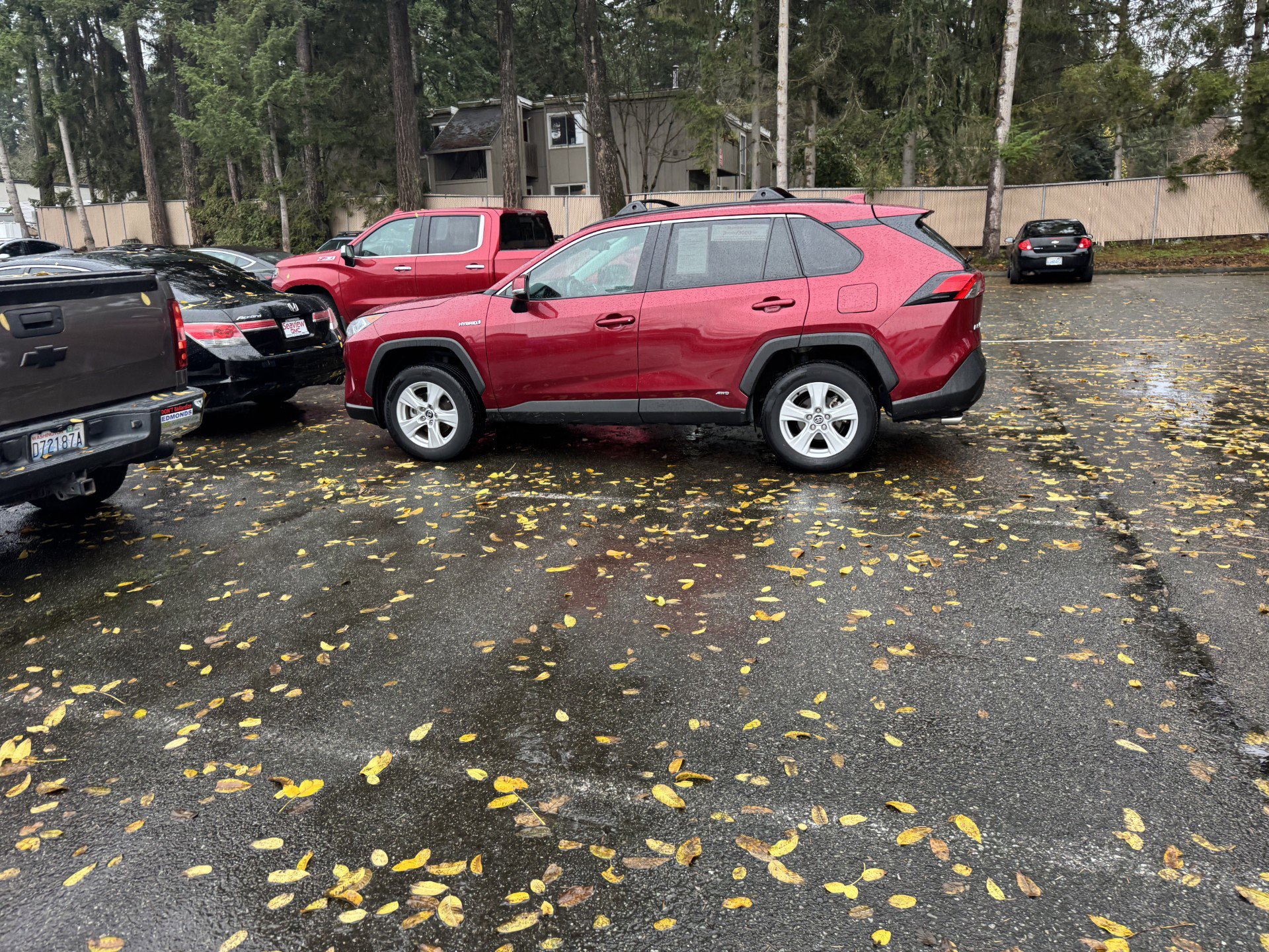 2020 Toyota RAV4 XLE's photo