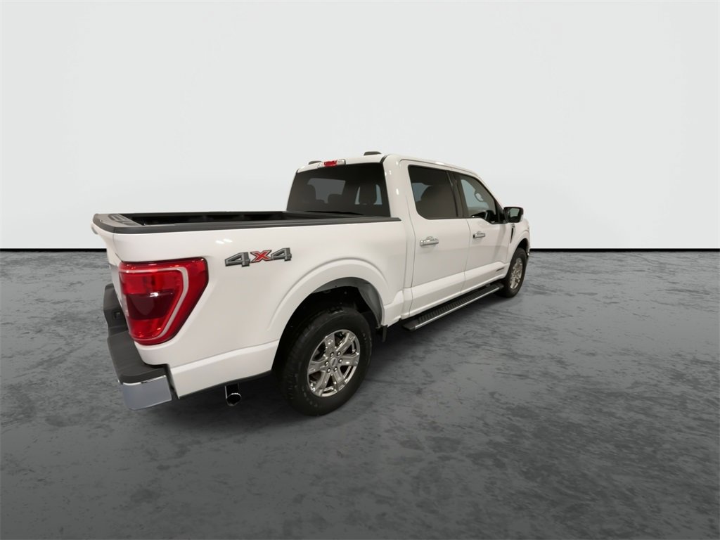 2021 Ford F-150 XL photo 8