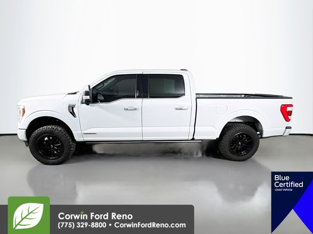 2023 Ford F-150 Platinum photo 4