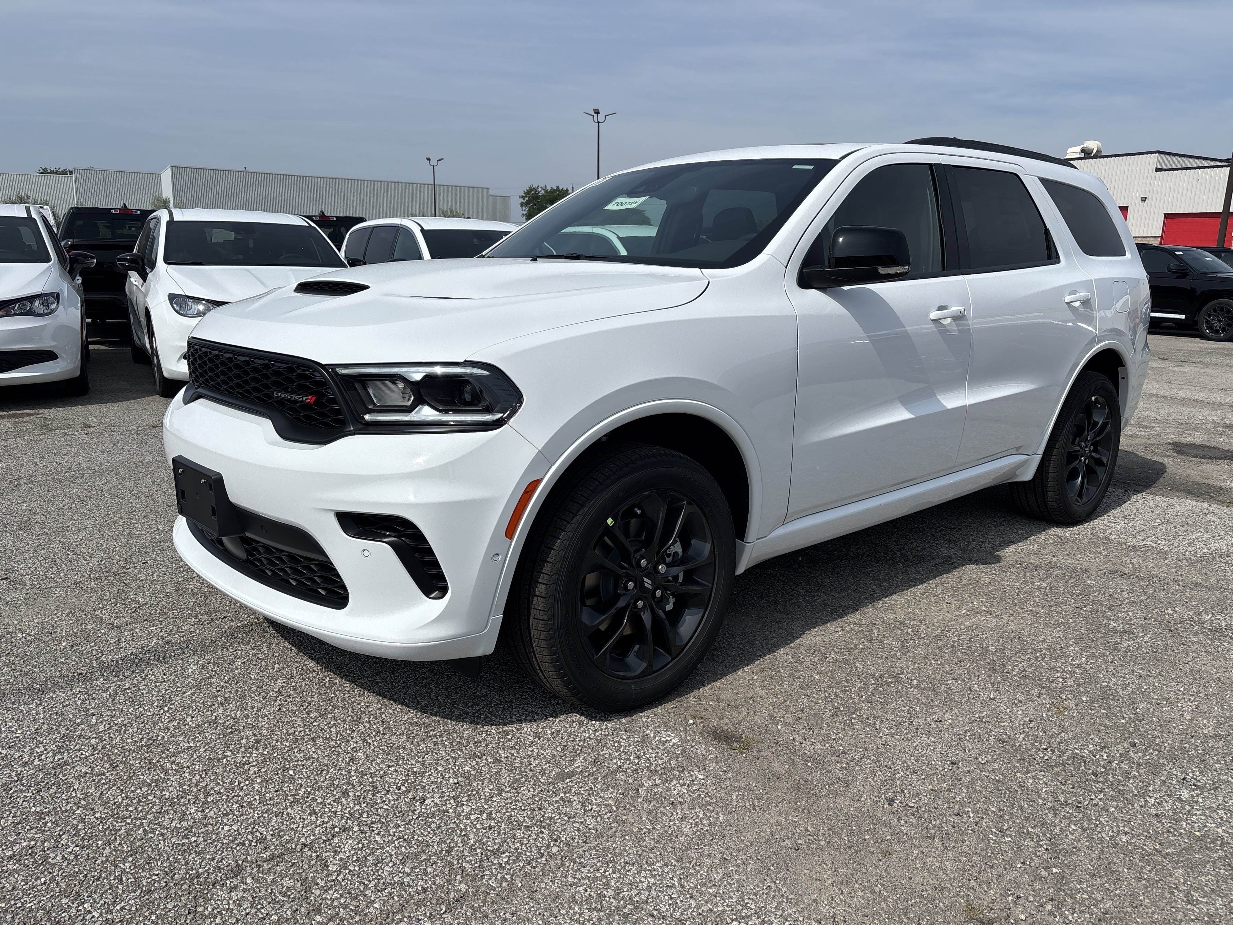 New 2025 White Knuckle Dodge GT Plus image 1