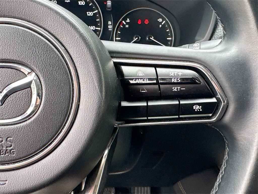2024 Mazda CX-90 3.3 Turbo Premium photo 13