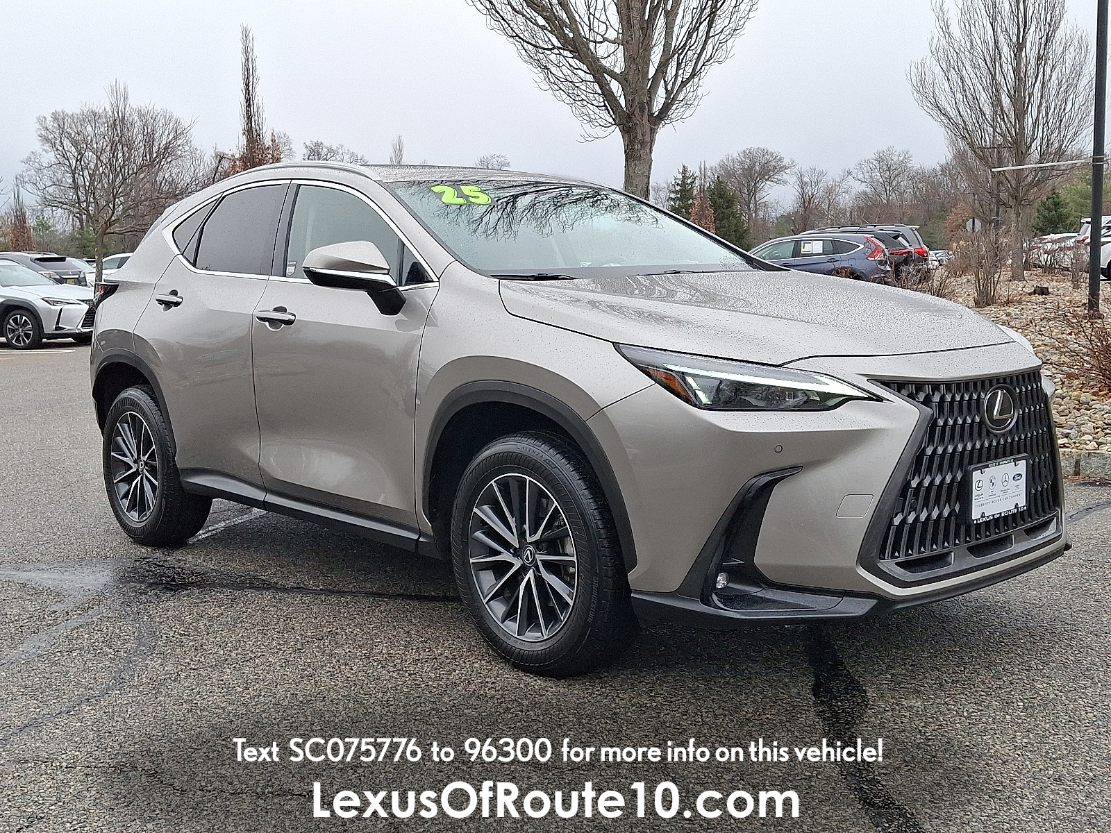 2025 Lexus NX 350's photo