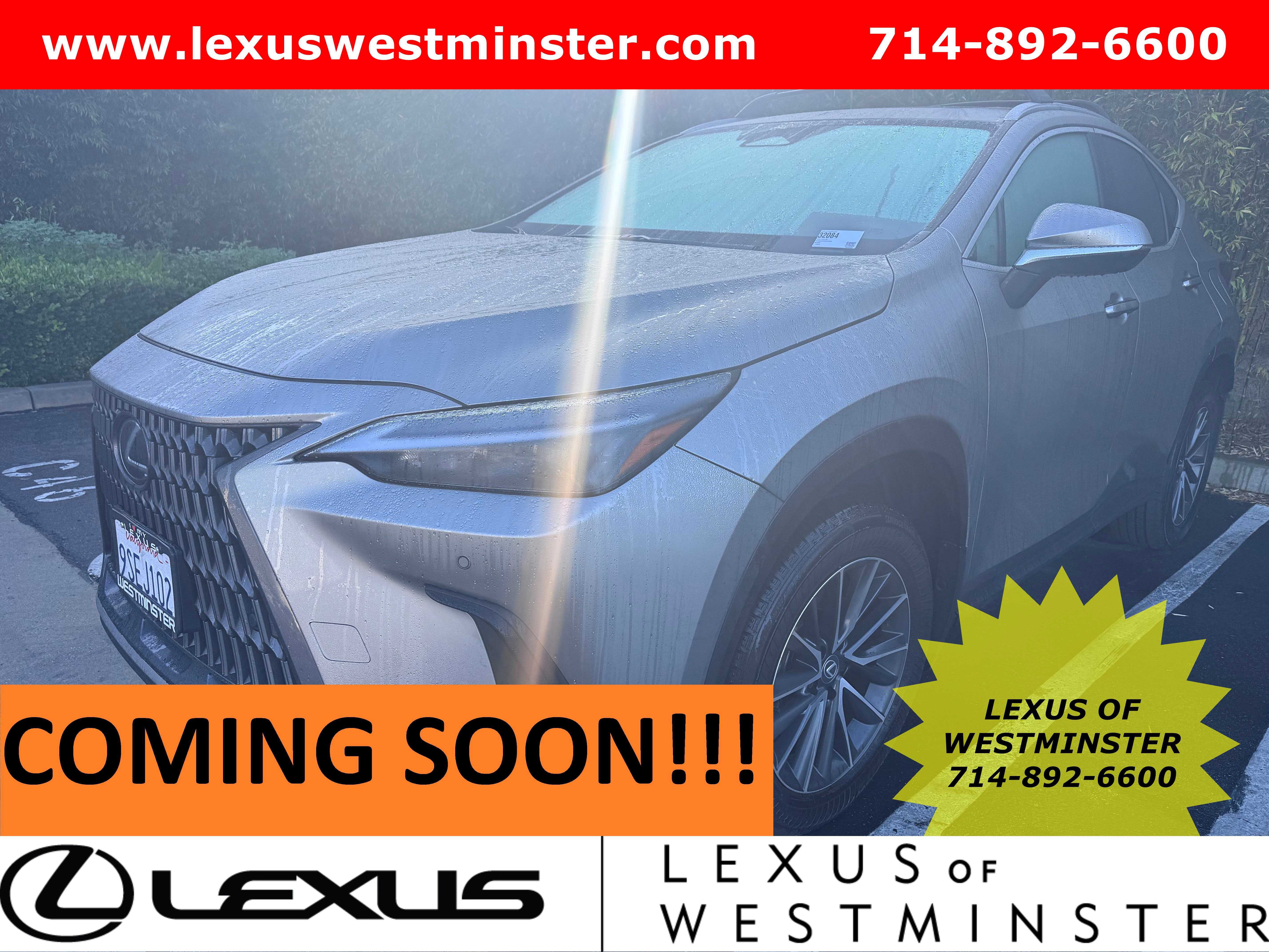 2025 Lexus NX 250