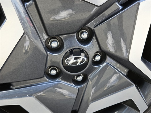 2024 Hyundai Palisade Limited photo 21