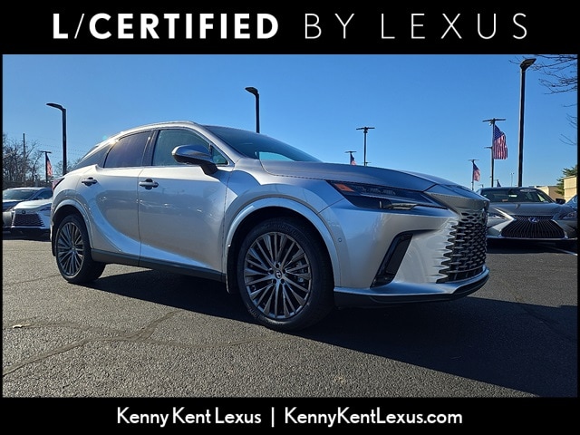 2024 Lexus RX 350's photo