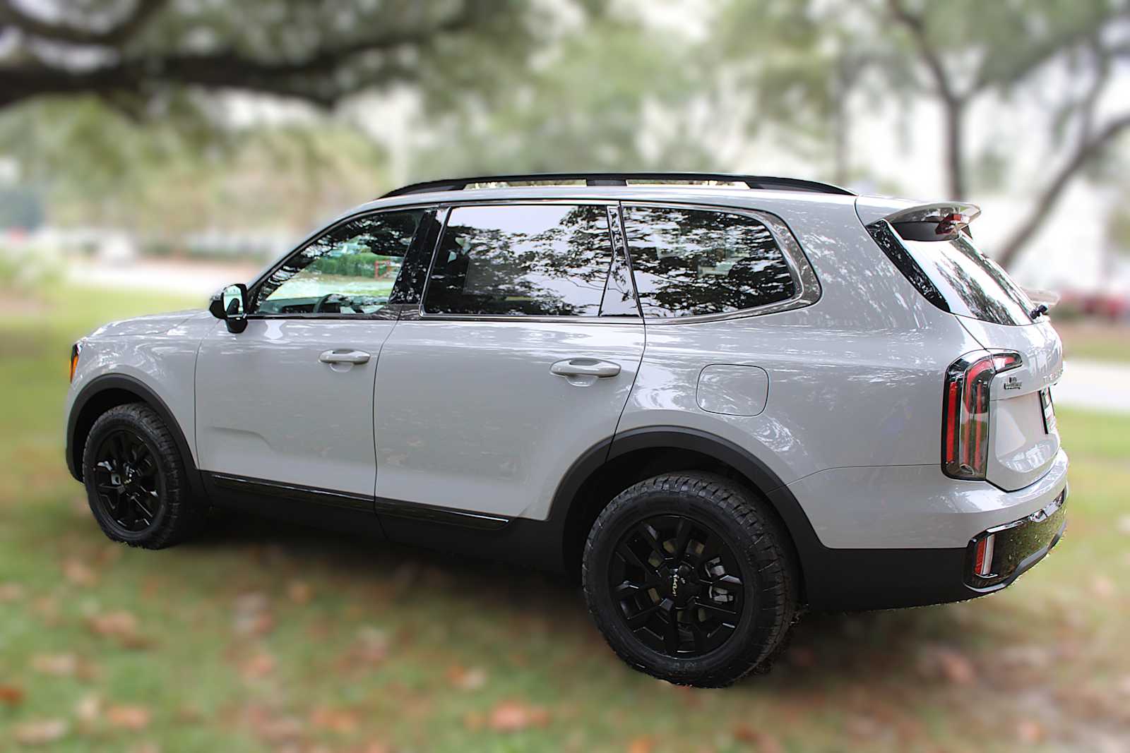2025 Kia Telluride SX X-Line photo 10