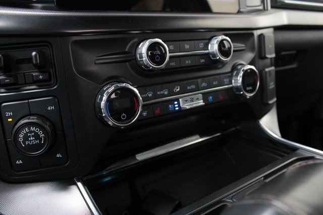 2021 Ford F-150 Platinum photo 8