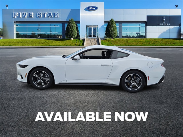 2025 Ford Mustang EcoBoost photo 4