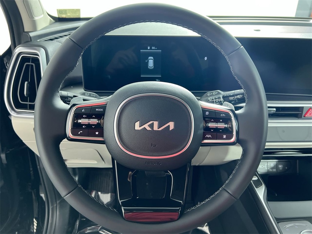 2025 Kia Sorento Hybrid EX photo 15