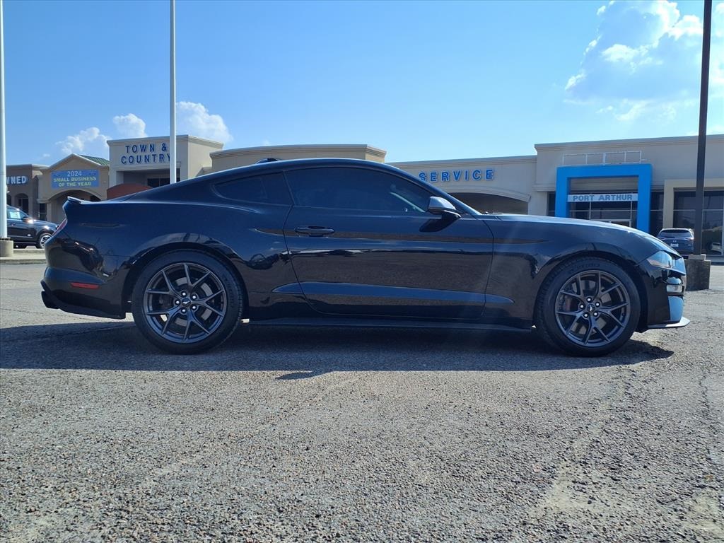 2023 Ford Mustang EcoBoost Premium photo 14