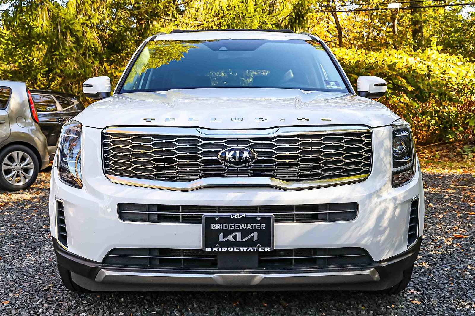 2020 Kia Telluride EX photo 2