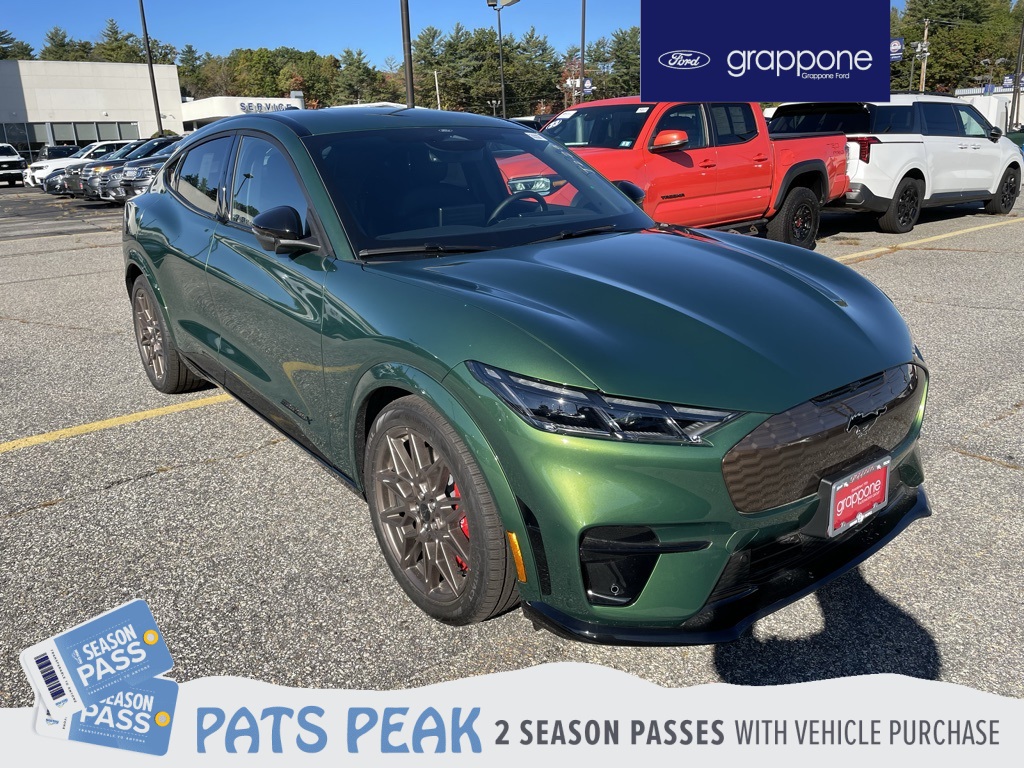 2025 Ford Mustang Mach-E GT AWD's photo