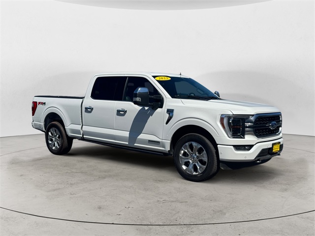 2023 Ford F-150 Platinum's photo