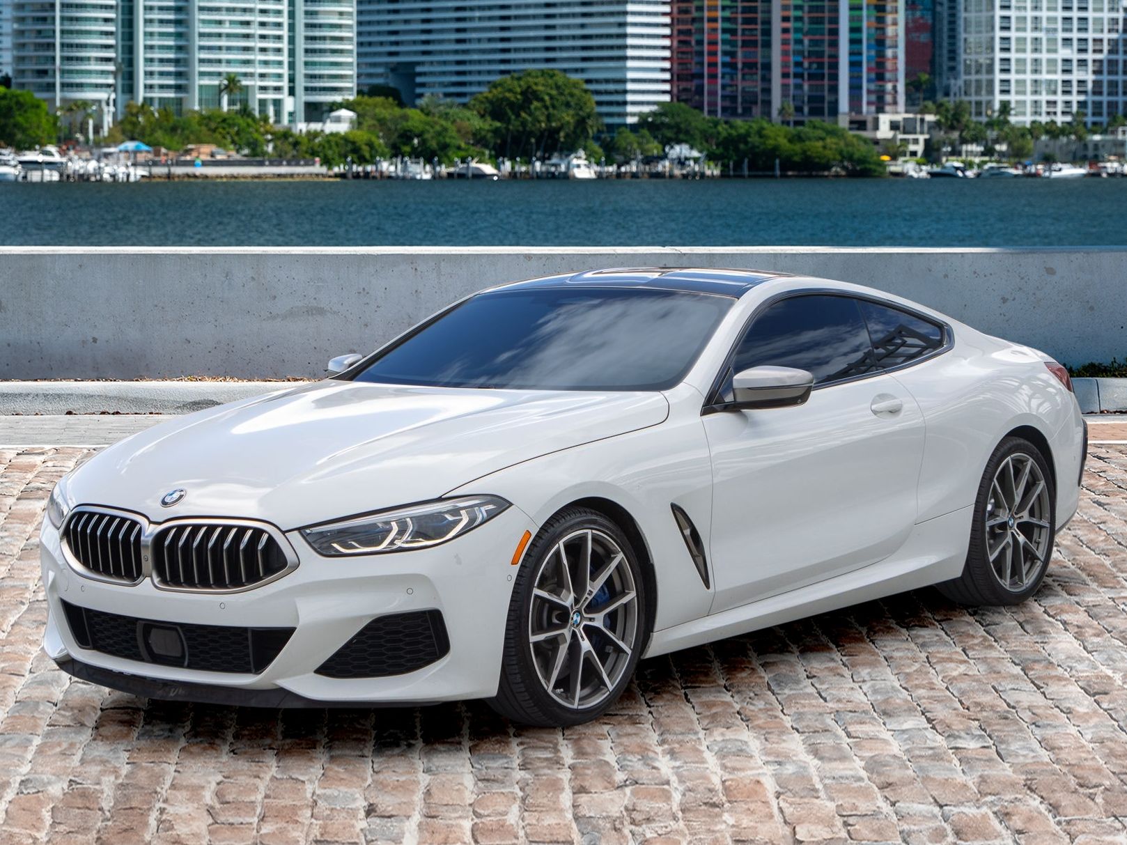 2019 BMW 8 Series M850i's photo