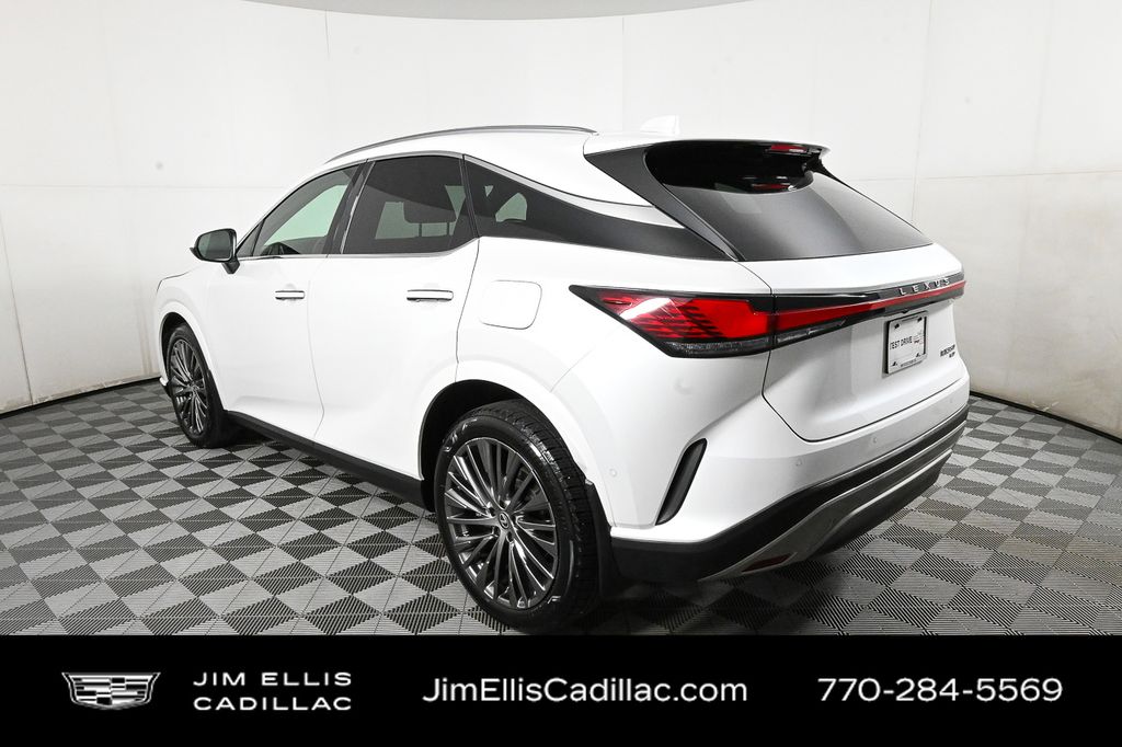 2024 Lexus RX Luxury photo 3