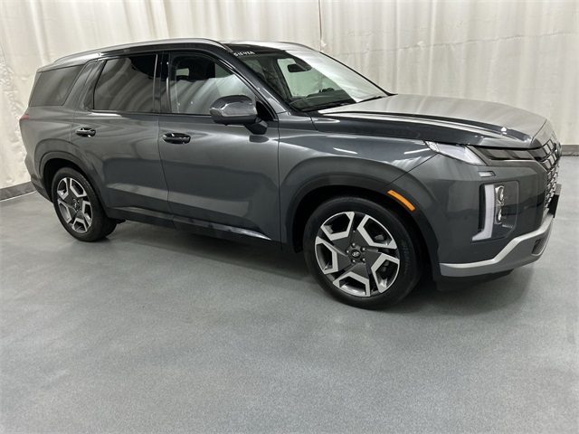 2024 Hyundai Palisade Limited's photo