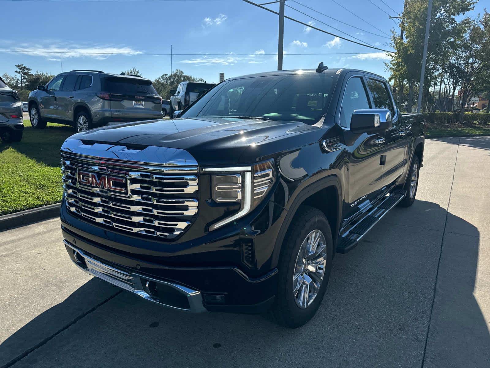 2025 Gmc Sierra 1500 Denali photo 3