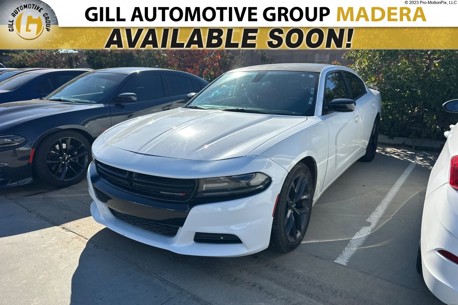 2019 Dodge Charger