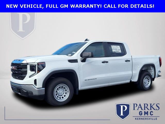 2023 Gmc Sierra 1500 Pro photo 2